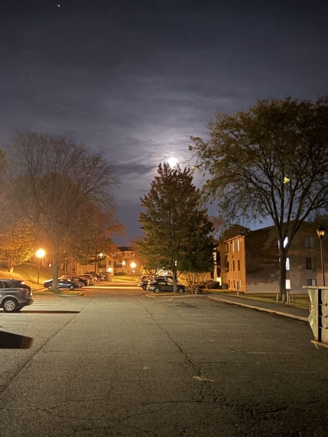 Figure 7: A picture taken at Fox Ridge Apartments, approximately a quarter mile away from trail entrance, it shows a full moon above a tree representing the environment during the walk.  (Original photograph, Anjan Bellamkonda)