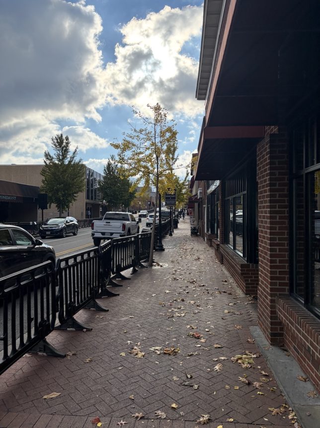 Figure 12: A picture taken in front of Namaste Kitchen, showing North Main Street during the afternoon around 10.30 PM. (Original photograph, Anjan Bellamkonda)