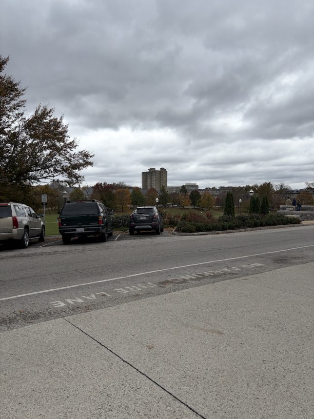 Figure 16: A picture taken at the North side of Drillfield pointing to Slusher Hall and its neighbouring buildings. (Original photograph, Anjan Bellamkonda)